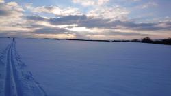 2021-02-12 Winter in Egstedt 1.JPG