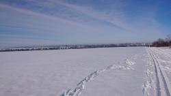 2021-02-12 Winter in Egstedt 2.JPG