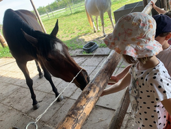 2021-05-10 Kindergartenausflug Waldschänke und Pferde 4.jpg