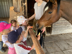 2021-05-10 Kindergartenausflug Waldschänke und Pferde 5.jpg