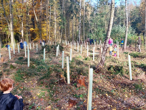 2021-10-31_Baumpflanzen_2.0_7.jpg