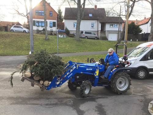 2022-02-05 Baum fällt, Kübel schick_4.JPG