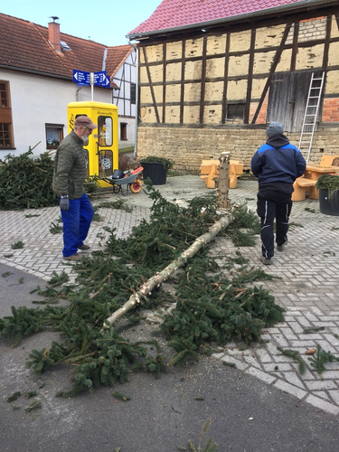 2022-02-05 Baum fällt, Kübel schick_2.JPG