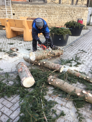 2022-02-05 Baum fällt, Kübel schick_3.JPG