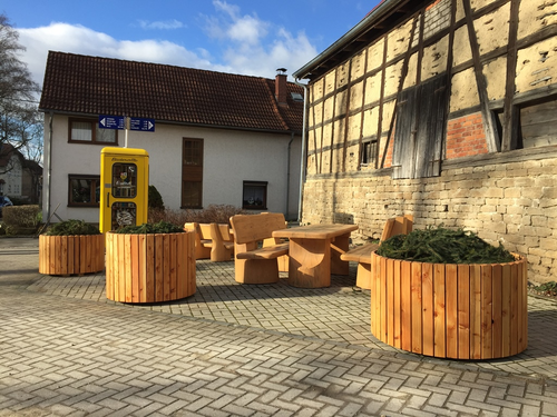 2022-02-05 Baum fällt, Kübel schick_8.JPG