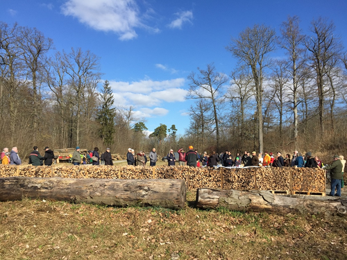 2022-02-27 Brennholzversteigerung Forst_4.JPG