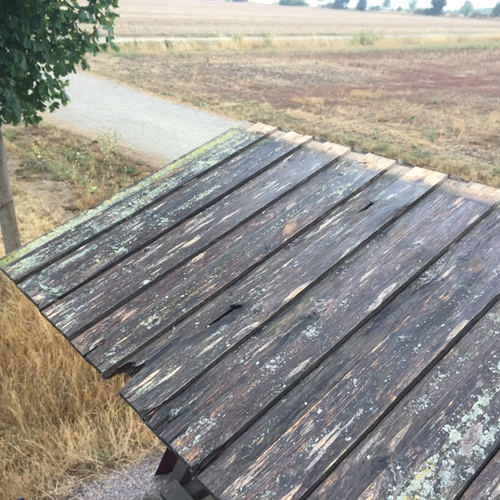 2022-08-27 Ertüchtigung Waldschänke mit Blech_1.JPG