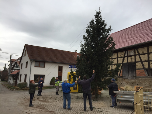 2021-11-27 HVE Weihnachtsbaumstellen_8.JPG