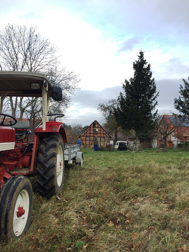 2021-11-27 HVE Weihnachtsbaumstellen_1.JPG