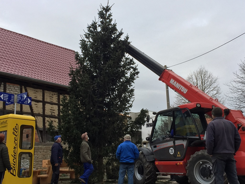 2021-11-27 HVE Weihnachtsbaumstellen_6.JPG