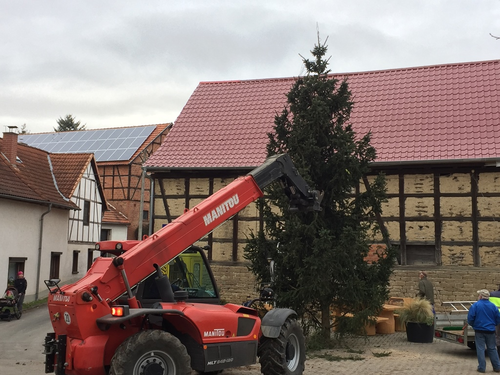 2021-11-27 HVE Weihnachtsbaumstellen_7.JPG