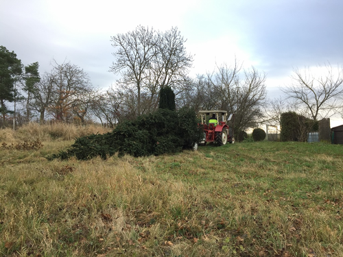 2021-11-27 HVE Weihnachtsbaumstellen_2.JPG