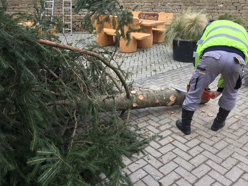2021-11-27 HVE Weihnachtsbaumstellen_4.JPG