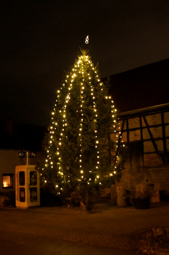 2021-11-27 HVE Weihnachtsbaumstellen_9.JPG