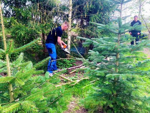 2022-04-30 Maifeuer_01.JPG